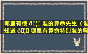 哪里有很 🦆 准的算命先生（谁知道 🦟 哪里有算命特别准的吗）